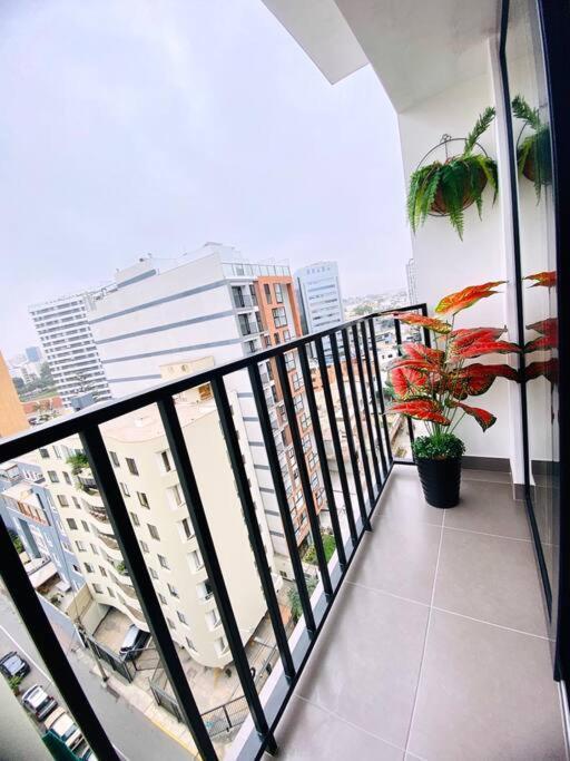 Premium Miro Apartamento